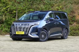 BYD Denza D9 DM-i Premium в Беларуси 2