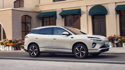 BYD Sealion 06 4