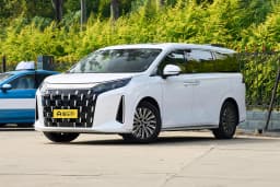 BYD M9 1060 Pilot в Беларуси 1