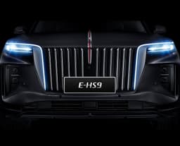 Hongqi E-HS9 Deluxe 6
