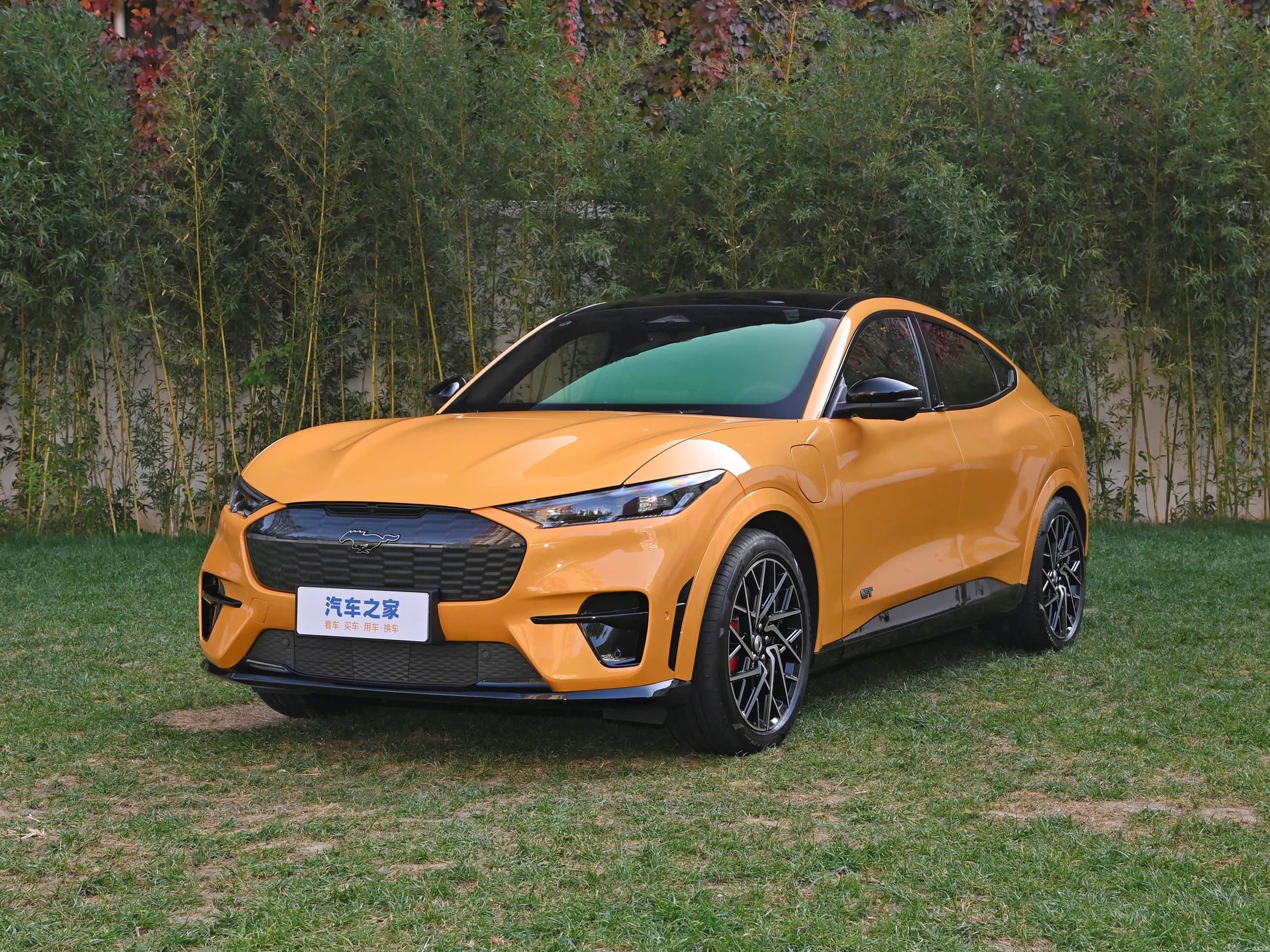 Ford Mustang Mach-E GT Edition у Беларусі — фота 1