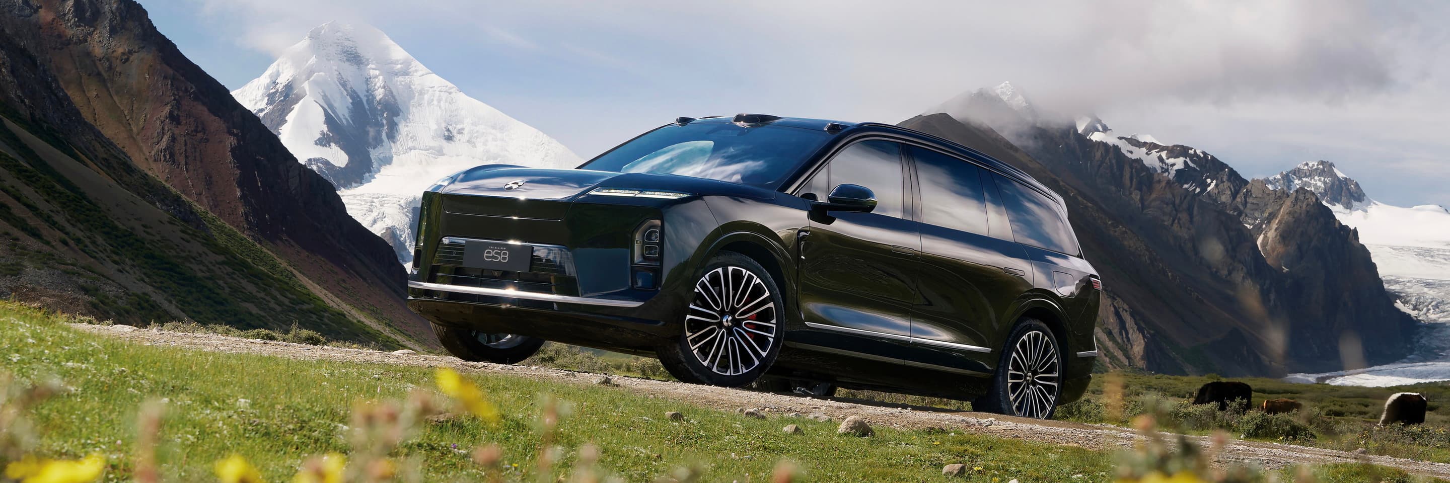 NIO ES8 Executive Signature 6 мест в Беларуси
