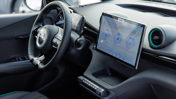 BYD Dolphin Fashion 410 5