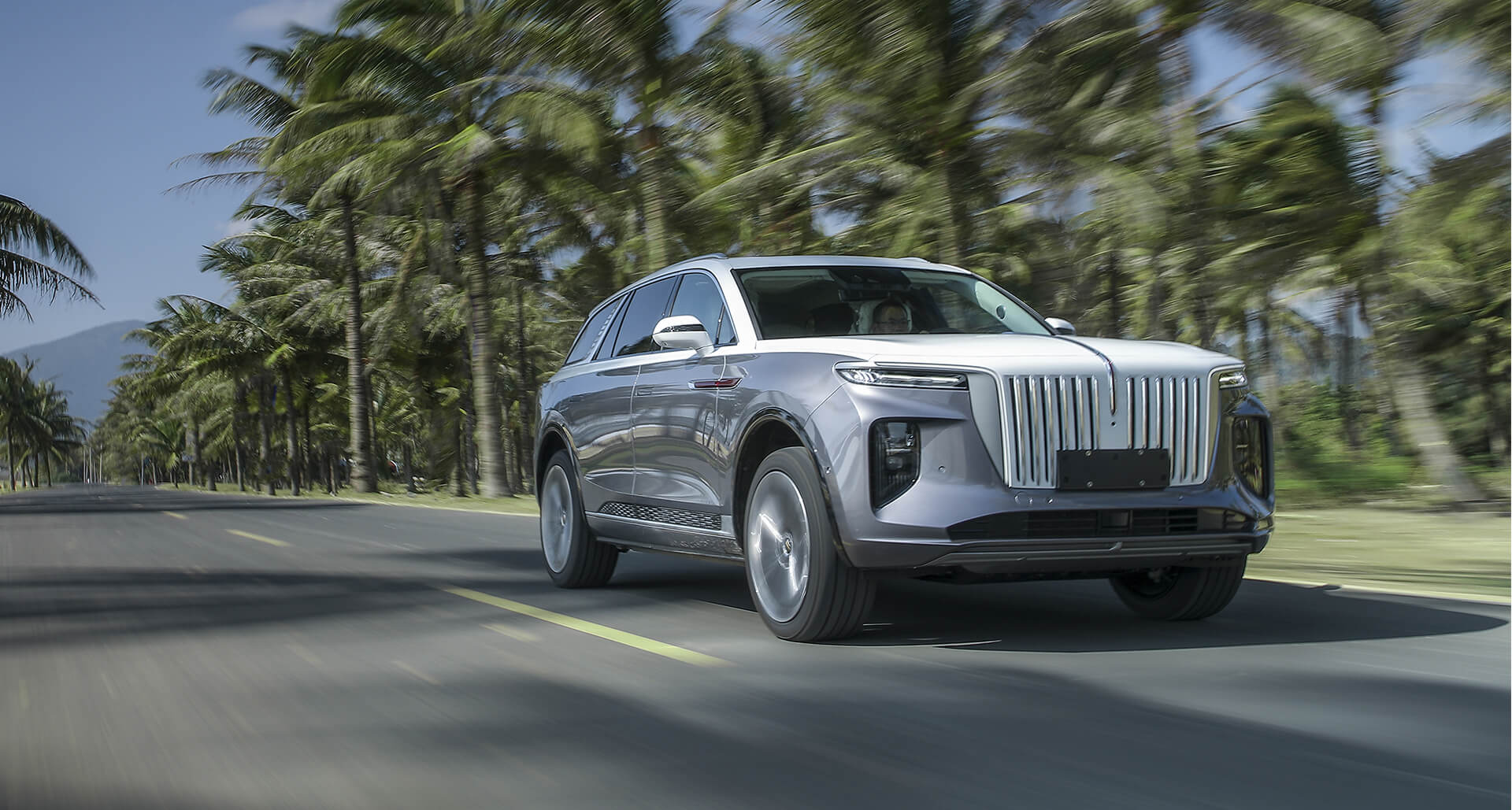 Hongqi E-HS9 Deluxe 4